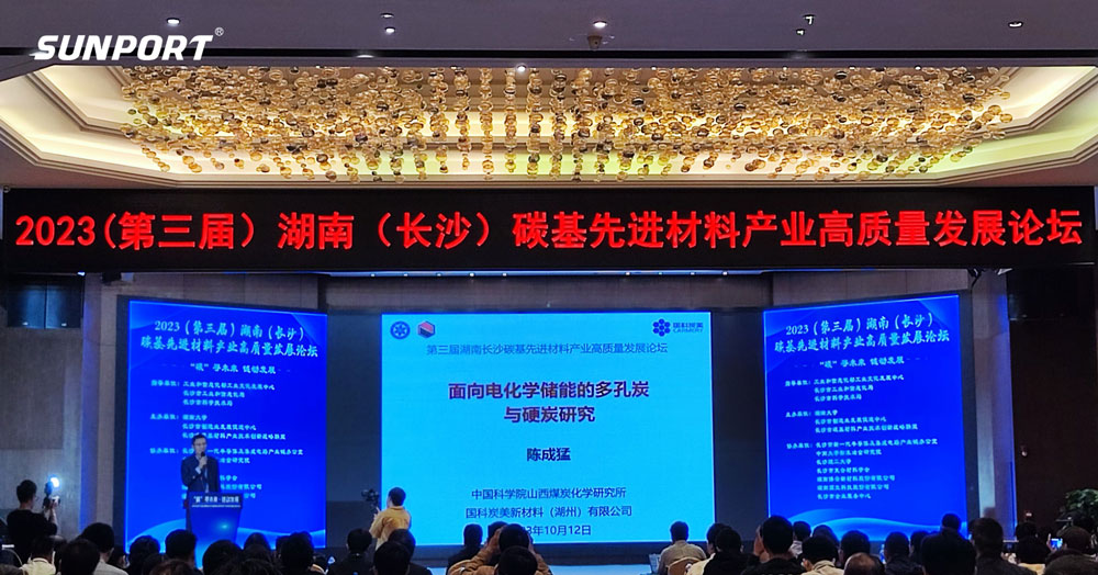 長沙pp電子網站智能參加湖南碳基先進材料高質量發展論壇